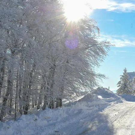 Chalet Madonna Di Hotel Viggiano
